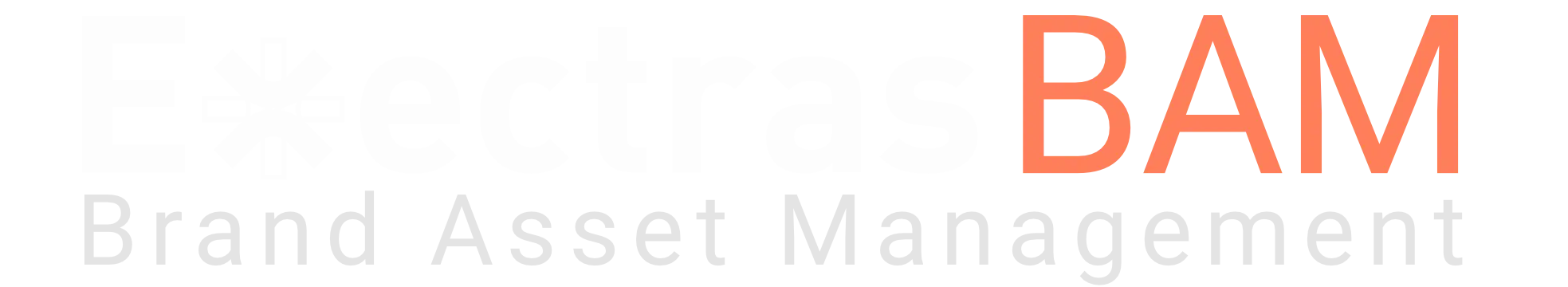 Brand Asset Manager logo